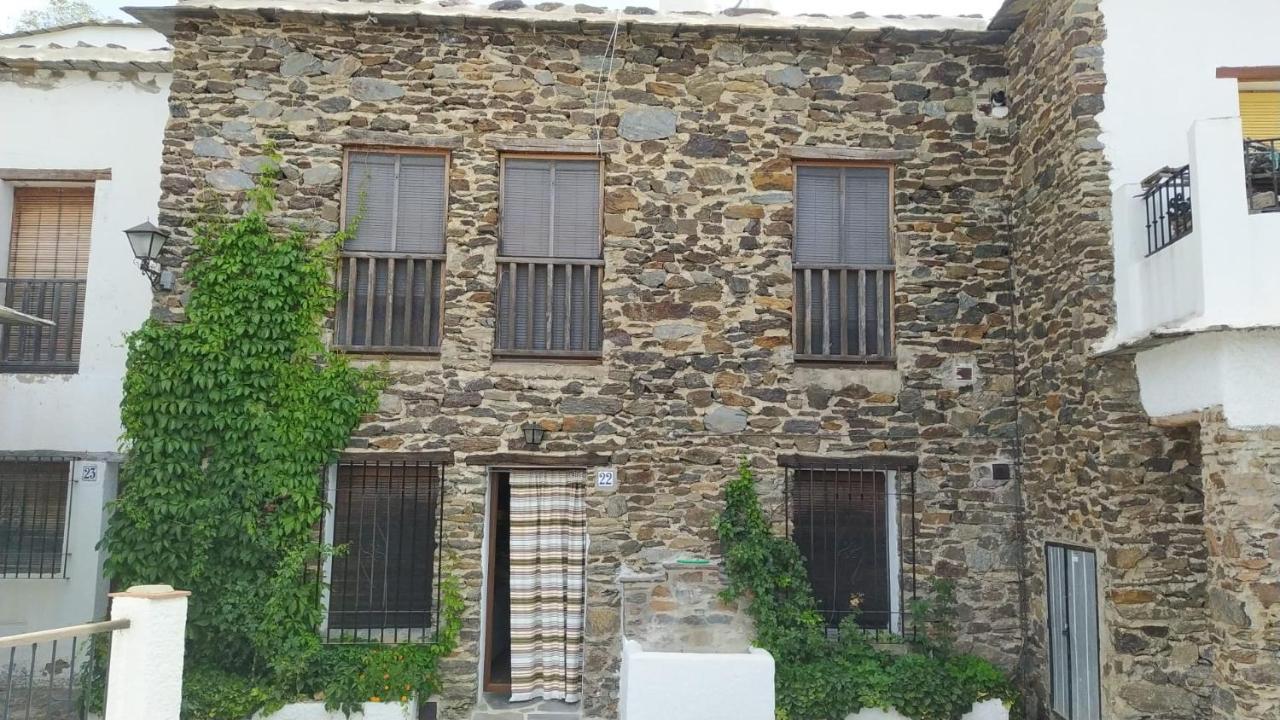 Appartement El Nogal *
