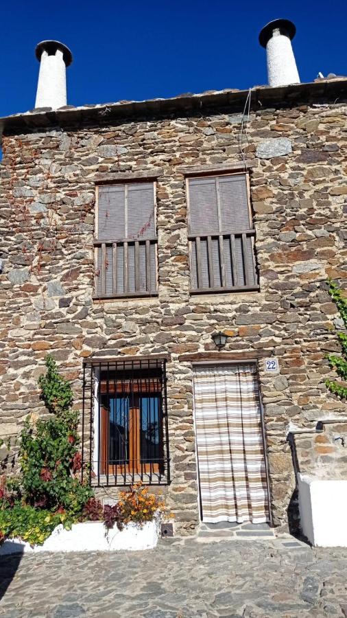Apartment El Nogal